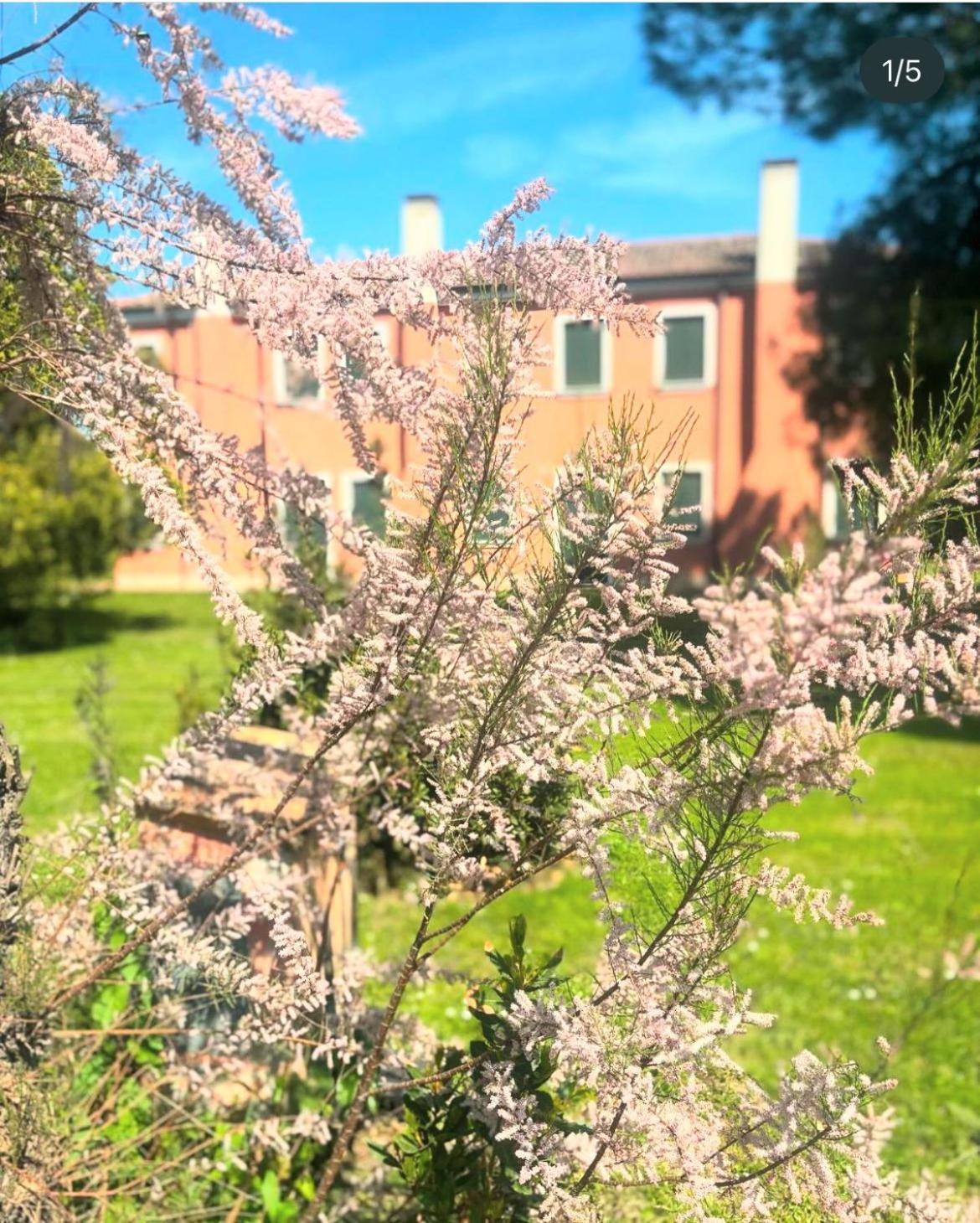 Agriturismo Ca' Bonelli 1924 스카르도바리 외부 사진